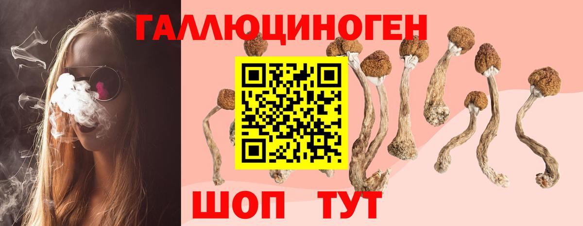 Псилоцибиновые грибы MAGIC MUSHROOMS  даркнет сайт  Майский  Вход с VPN 